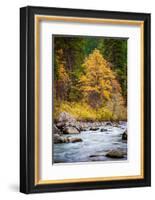 Autumn Across The River-Michael Broom-Framed Photographic Print