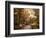 Autumn Aesthetic-Jessica Jenney-Framed Giclee Print