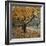 Autumn Afternoon III-Nicole Katano-Framed Photo