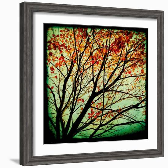 Autumn Alchemy I-Irene Suchocki-Framed Giclee Print