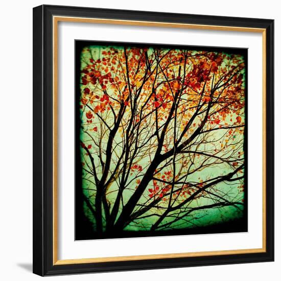 Autumn Alchemy I-Irene Suchocki-Framed Giclee Print