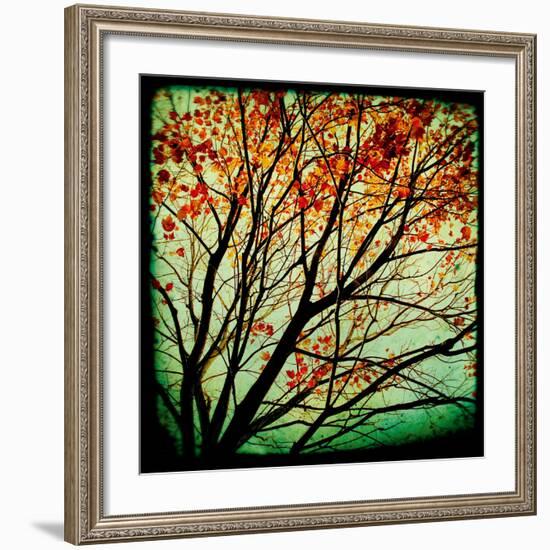 Autumn Alchemy I-Irene Suchocki-Framed Giclee Print