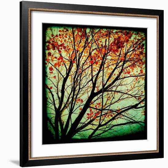 Autumn Alchemy I-Irene Suchocki-Framed Giclee Print