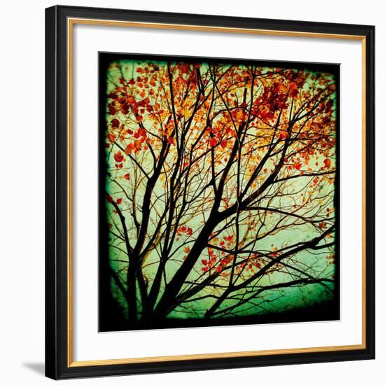 Autumn Alchemy I-Irene Suchocki-Framed Giclee Print