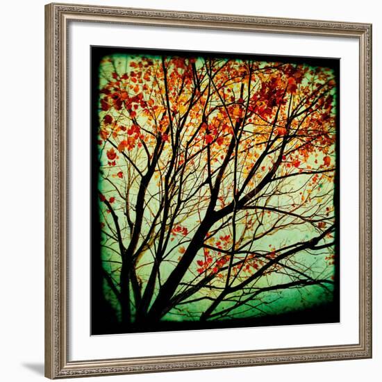 Autumn Alchemy I-Irene Suchocki-Framed Giclee Print