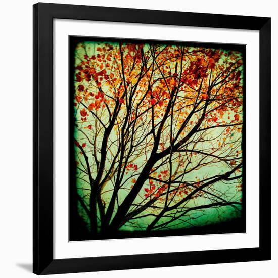 Autumn Alchemy I-Irene Suchocki-Framed Giclee Print