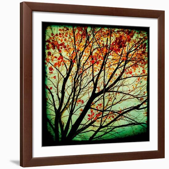 Autumn Alchemy I-Irene Suchocki-Framed Giclee Print