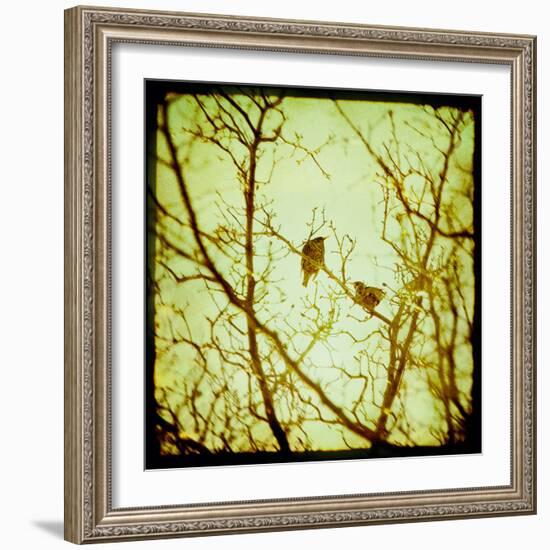 Autumn Alchemy II-Irene Suchocki-Framed Giclee Print