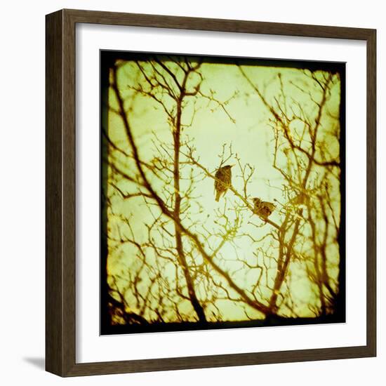 Autumn Alchemy II-Irene Suchocki-Framed Giclee Print