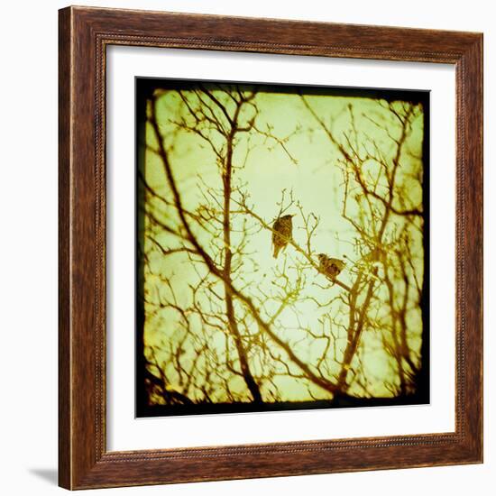 Autumn Alchemy II-Irene Suchocki-Framed Giclee Print