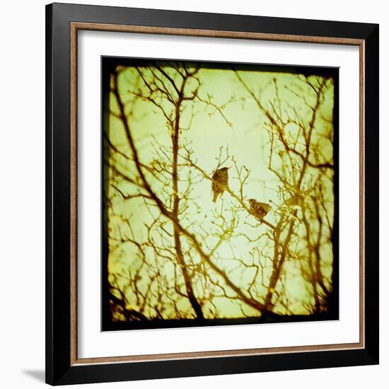 Autumn Alchemy II-Irene Suchocki-Framed Giclee Print