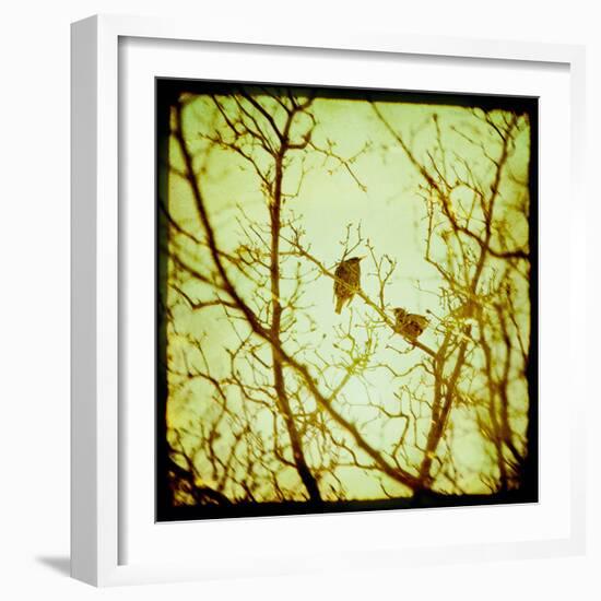 Autumn Alchemy II-Irene Suchocki-Framed Giclee Print