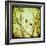 Autumn Alchemy II-Irene Suchocki-Framed Giclee Print