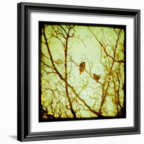 Autumn Alchemy II-Irene Suchocki-Framed Giclee Print