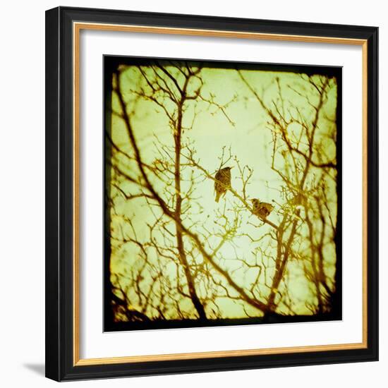 Autumn Alchemy II-Irene Suchocki-Framed Giclee Print