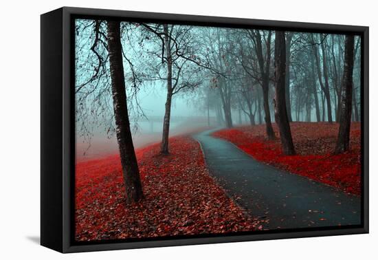 Autumn Alley in the Fog - Gothic Autumn Landscape in Cloudy Weather with Bare Red Trees along Alley-null-Framed Premier Image Canvas