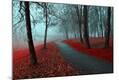Photographic Print