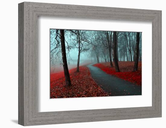 Autumn Alley in the Fog - Gothic Autumn Landscape in Cloudy Weather with Bare Red Trees along Alley-null-Framed Photographic Print