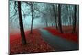 Photographic Print