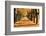 Autumn Alley-maksheb-Framed Photographic Print