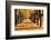 Autumn Alley-maksheb-Framed Photographic Print