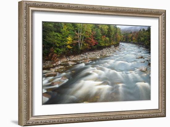 Autumn Along the Pemigewasset River, White Mountain NF, New Hampshire-Jerry & Marcy Monkman-Framed Photographic Print
