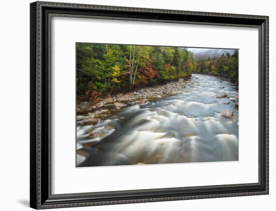 Autumn Along the Pemigewasset River, White Mountain NF, New Hampshire-Jerry & Marcy Monkman-Framed Photographic Print