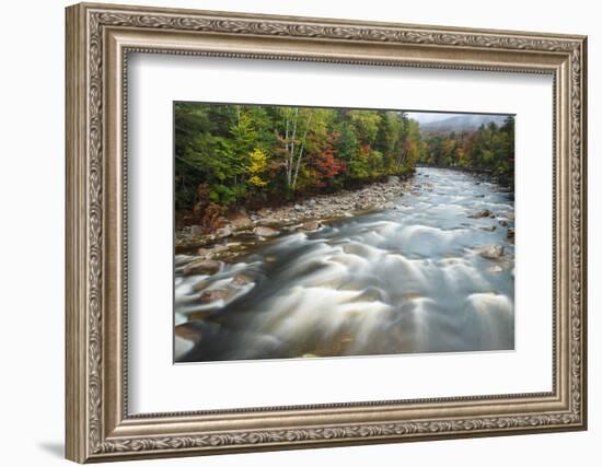 Autumn Along the Pemigewasset River, White Mountain NF, New Hampshire-Jerry & Marcy Monkman-Framed Photographic Print