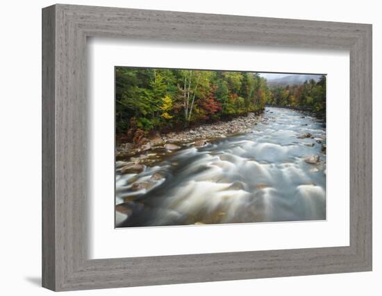 Autumn Along the Pemigewasset River, White Mountain NF, New Hampshire-Jerry & Marcy Monkman-Framed Photographic Print