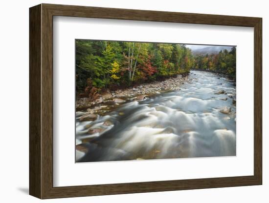 Autumn Along the Pemigewasset River, White Mountain NF, New Hampshire-Jerry & Marcy Monkman-Framed Photographic Print