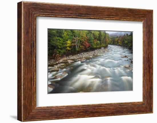 Autumn Along the Pemigewasset River, White Mountain NF, New Hampshire-Jerry & Marcy Monkman-Framed Photographic Print