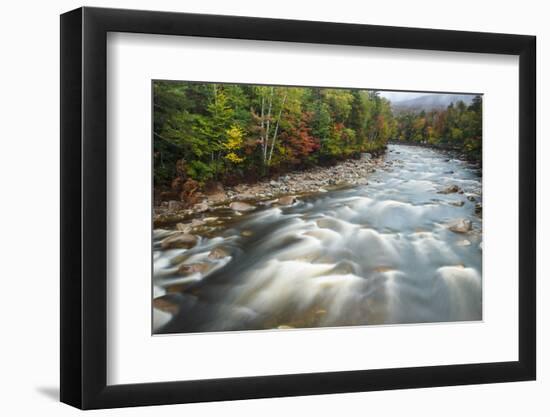 Autumn Along the Pemigewasset River, White Mountain NF, New Hampshire-Jerry & Marcy Monkman-Framed Photographic Print