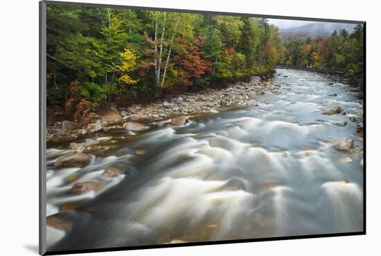 Autumn Along the Pemigewasset River, White Mountain NF, New Hampshire-Jerry & Marcy Monkman-Mounted Photographic Print