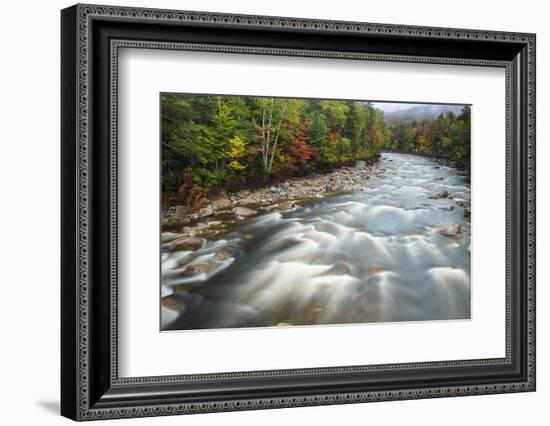 Autumn Along the Pemigewasset River, White Mountain NF, New Hampshire-Jerry & Marcy Monkman-Framed Photographic Print