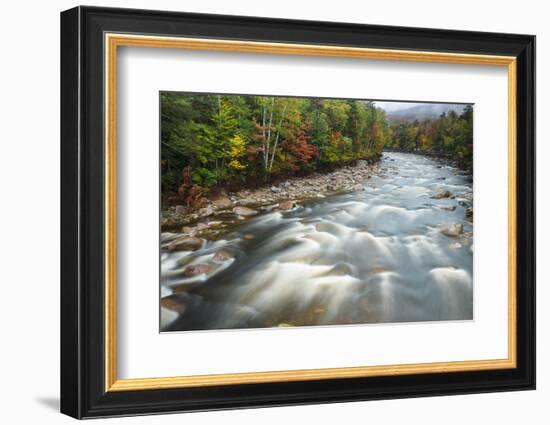 Autumn Along the Pemigewasset River, White Mountain NF, New Hampshire-Jerry & Marcy Monkman-Framed Photographic Print