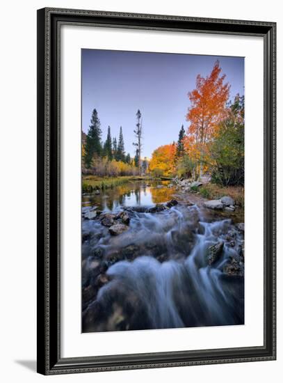 Autumn and Bishop Creek Flow, Eastern Sierras, Bishop California-Vincent James-Framed Photographic Print