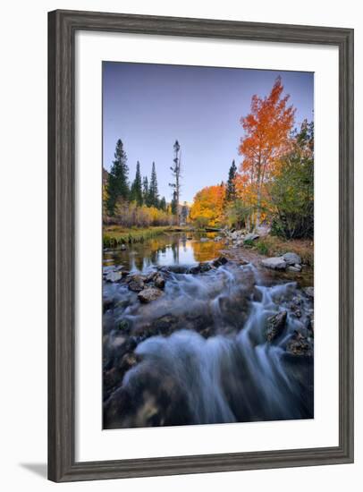 Autumn and Bishop Creek Flow, Eastern Sierras, Bishop California-Vincent James-Framed Photographic Print