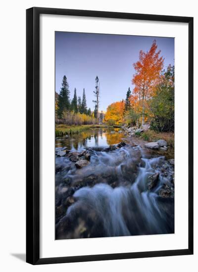 Autumn and Bishop Creek Flow, Eastern Sierras, Bishop California-Vincent James-Framed Photographic Print