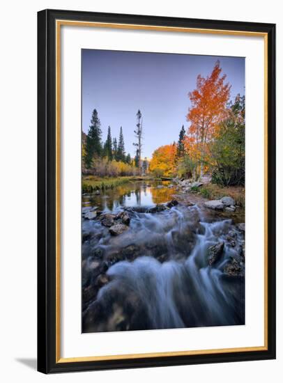 Autumn and Bishop Creek Flow, Eastern Sierras, Bishop California-Vincent James-Framed Photographic Print