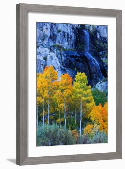 Autumn and Fall Color Waterfall Bishop Creek Canyon Eastern Sierras California-Vincent James-Framed Photographic Print