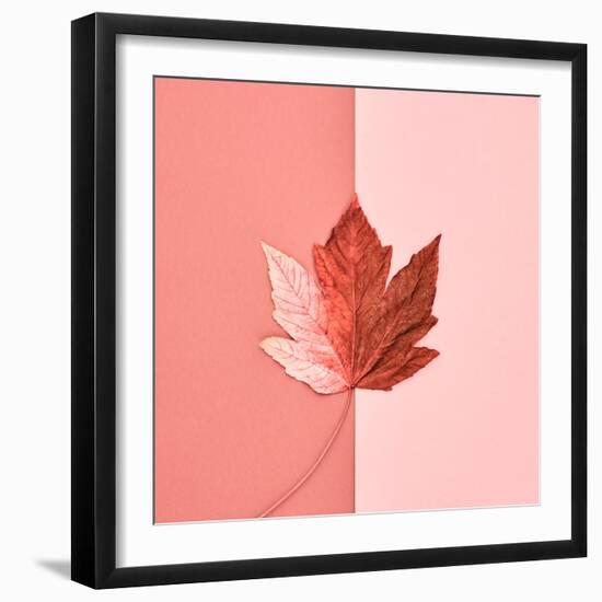 Autumn Arrives-Indigo Photo Club-Framed Photographic Print