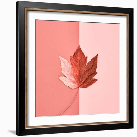 Autumn Arrives-Indigo Photo Club-Framed Photographic Print