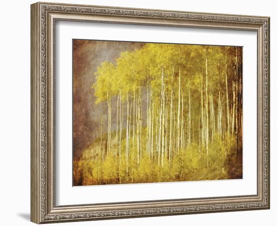 Autumn Aspen Forest-null-Framed Art Print