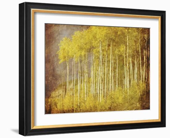 Autumn Aspen Forest-null-Framed Art Print
