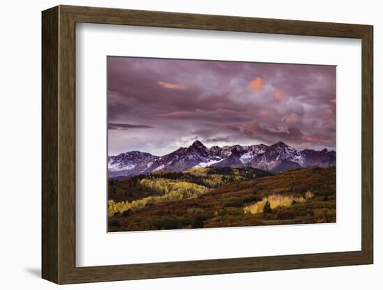 Autumn, aspen trees and Sneffels Range at sunset, Mount Sneffels Wilderness. Colorado-Adam Jones-Framed Photographic Print