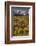 Autumn aspen trees and Sneffels Range, Mount Sneffels Wilderness, Colorado-Adam Jones-Framed Photographic Print