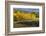 Autumn aspen trees and Sneffels Range, Mount Sneffels Wilderness, Colorado-Adam Jones-Framed Photographic Print