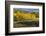 Autumn aspen trees and Sneffels Range, Mount Sneffels Wilderness, Colorado-Adam Jones-Framed Photographic Print