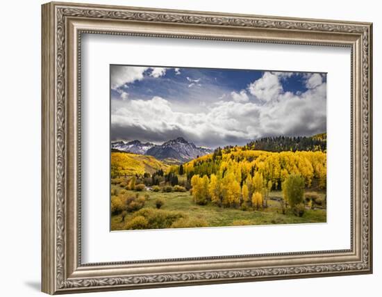 Autumn aspen trees and Sneffels Range, Mount Sneffels Wilderness, Colorado-Adam Jones-Framed Photographic Print