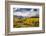 Autumn aspen trees and Sneffels Range, Mount Sneffels Wilderness, Colorado-Adam Jones-Framed Photographic Print